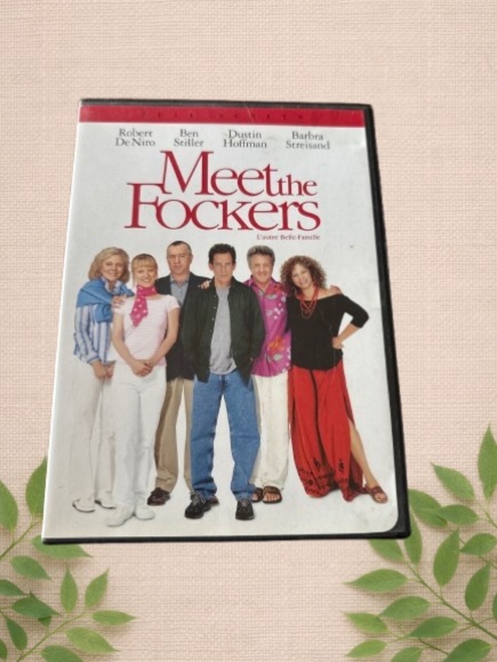 📀 Meet the Fockers – DVD